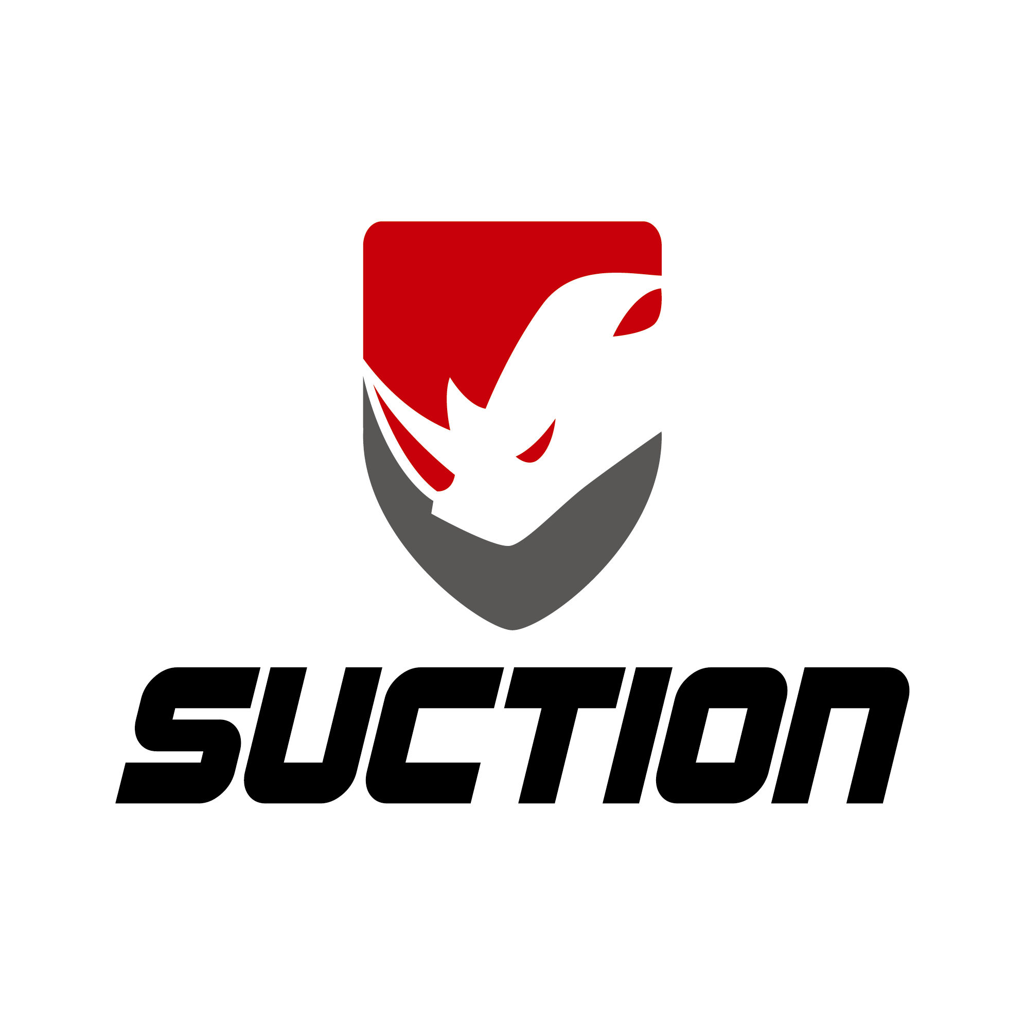 SUCTION INDUSTRIAL CO LTD