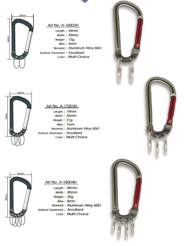 Carabiner for tools